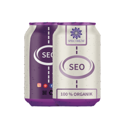 SEO optimizacija vodič u REALNI SEO